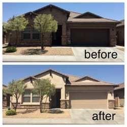 250x250 Daisy Mountain Painting - Daisy Mountain Painting