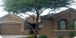 256x129 Daisy Mountain Painting - Daisy Mountain Painting