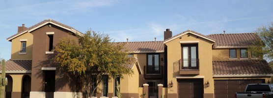 556x201 Daisy Mountain Painting Services, Llc - Daisy Mountain Painting