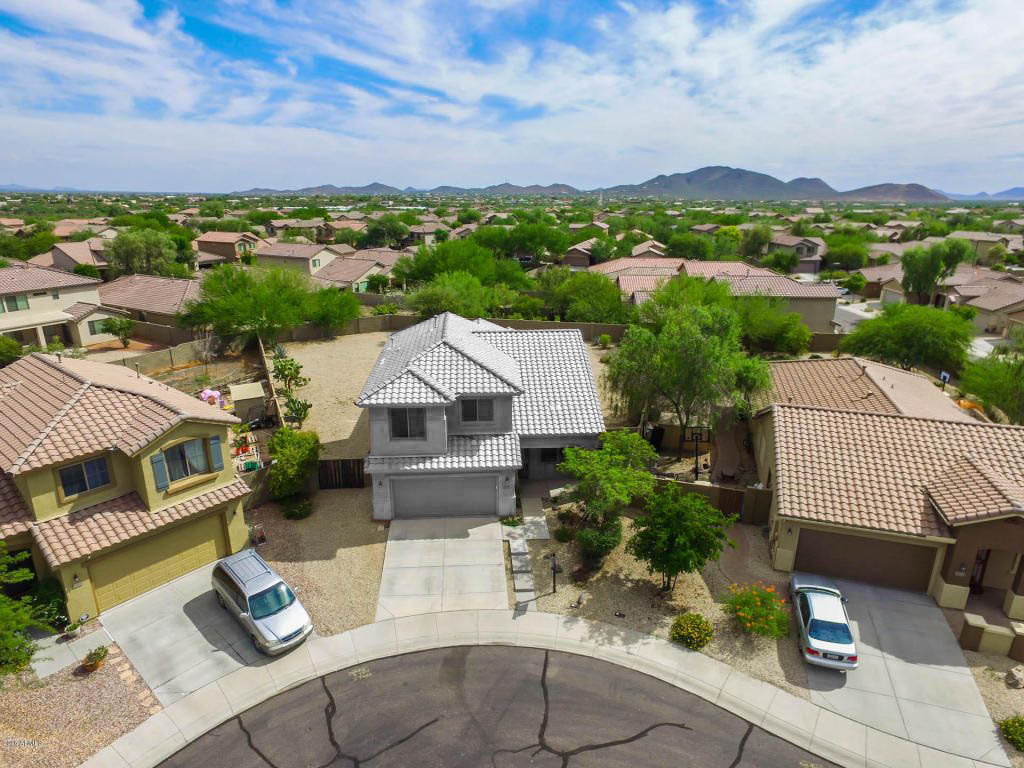 1024x768 Home - Daisy Mountain Painting