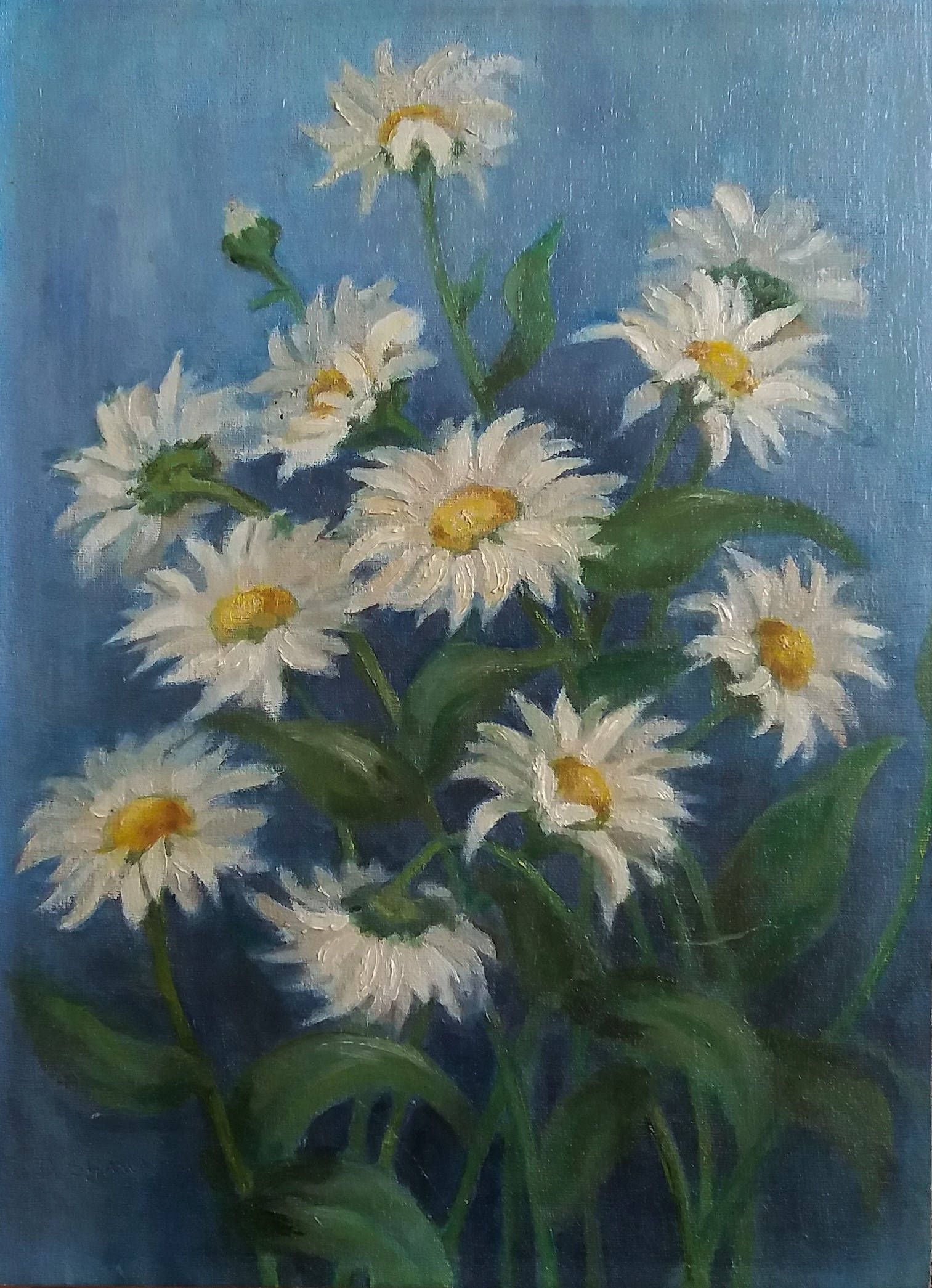 1513x2090 Flower Original Oil Painting, Flower Study, White Swan Michaelmas - Daisy Oil Painting