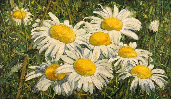 570x332 Oil Painting On Wood. Daisies Nature Inspired. Flowers.original - Daisy Oil Painting