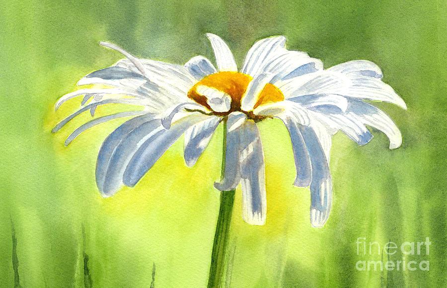 900x580 Daisy Painting On Canvas Paintings Prints Single White Blossom - Daisy Painting On Canvas