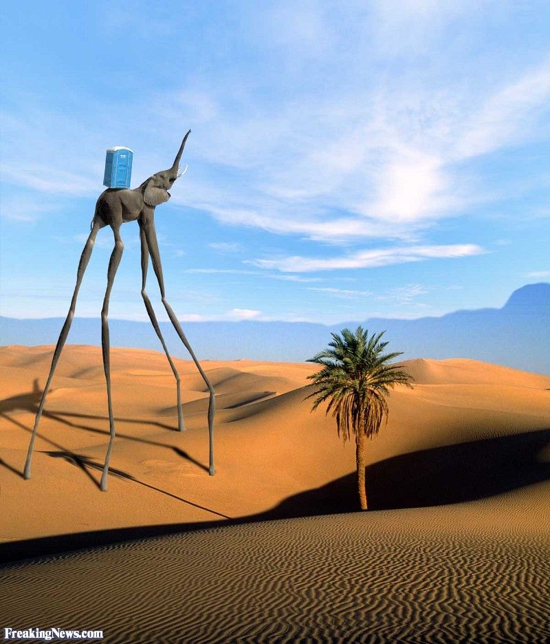800x936 Source Freakingnews Artsalvador Dali Dali - Dali Desert Painting