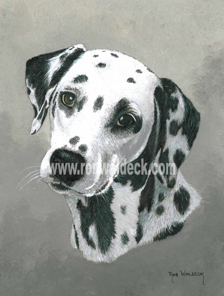 438x579 Dalmatian - Dalmatian Painting