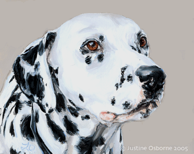 400x317 Dog Art By Paintmydog - Dalmatian Painting