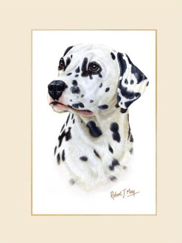 373x497 Original Dalmatian Painting - Dalmatian Painting