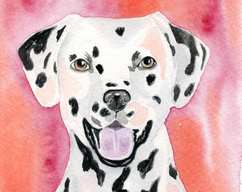 340x270 Shih Tzu Watercolor Painting Shih Tzu Original Dog Art Dog - Dalmatian Painting