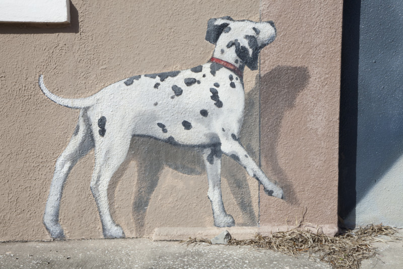 800x533 Dalmatian Painting Clippix Etc Educational Photos For Students - Dalmatian Painting