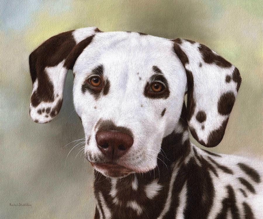900x751 Dalmatian Painting Painting By Rachel Stribbling - Dalmatian Painting