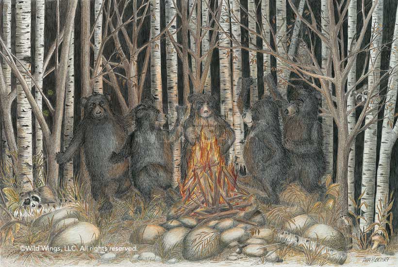 820x551 Dancing Bears Drawing By Patty Kobetsky Wild Wings - Dancing Bears Painting