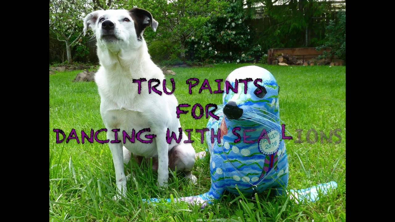 1280x720 Tru Painting Dog, Paints For Dancing With Sea Lions - Dancing Dog Painting