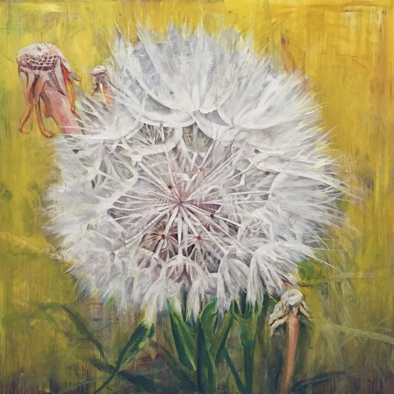 799x800 Dandelions - Dandelion Acrylic Painting