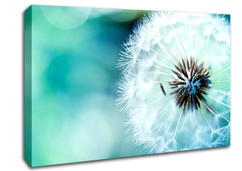 848x599 Dandelion Flower 3 Flowers Canvas Stretched Canvas - Dandelion Canvas Painting