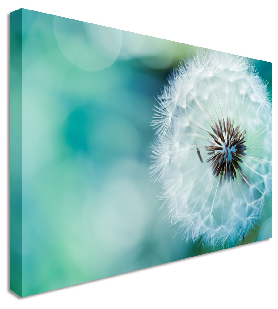 Dandelion Canvas Painting at PaintingValley.com | Explore collection of ...