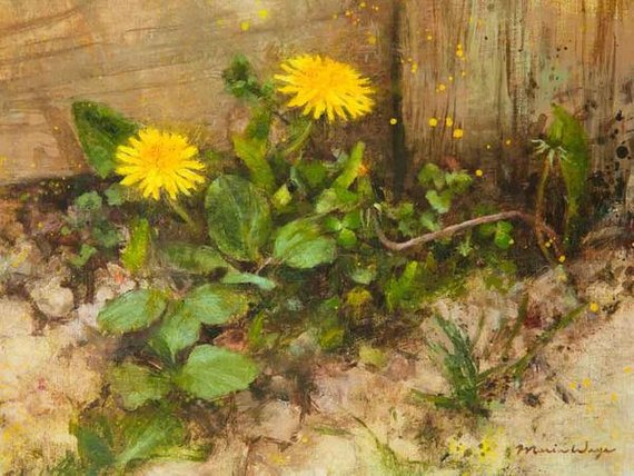 570x428 Dandelion Oil Painting Original Art 9x12 Fine Art Botanical - Dandelion Oil Painting