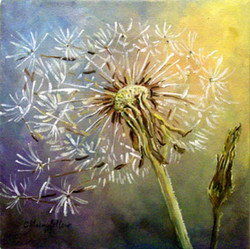 250x249 Dandelion Oil Paintings - Dandelion Oil Painting
