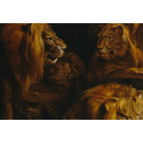 500x500 Buy Cheap Posters Peter Paul Rubens Daniel In The Lions Den 1616 - Daniel In The Lions Den Painting