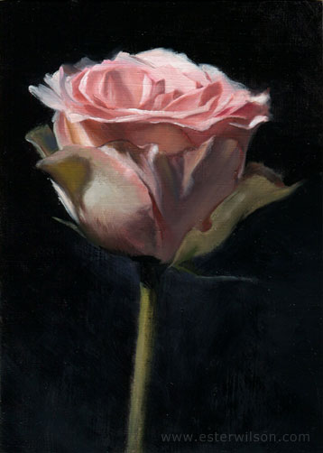 358x502 Daily Drawings By Ester Wilson Floral Still Life Oil Painting - Dark Flower Painting