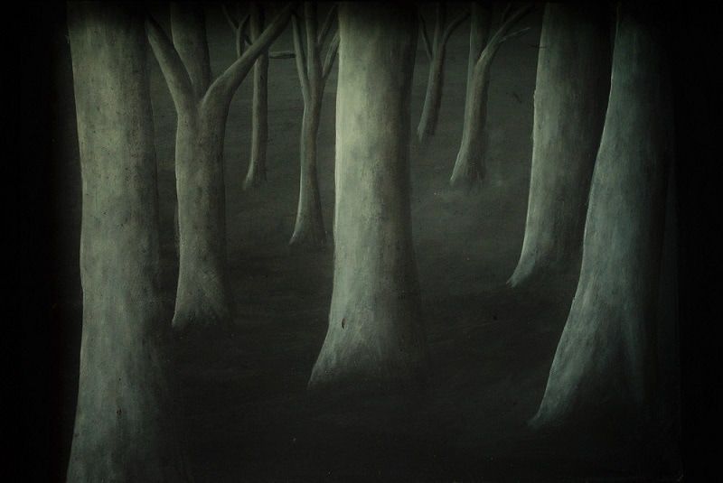 800x535 Dark Forest Painted By Margeaux Davis Of Willowynn Imagine - Dark Forest Painting