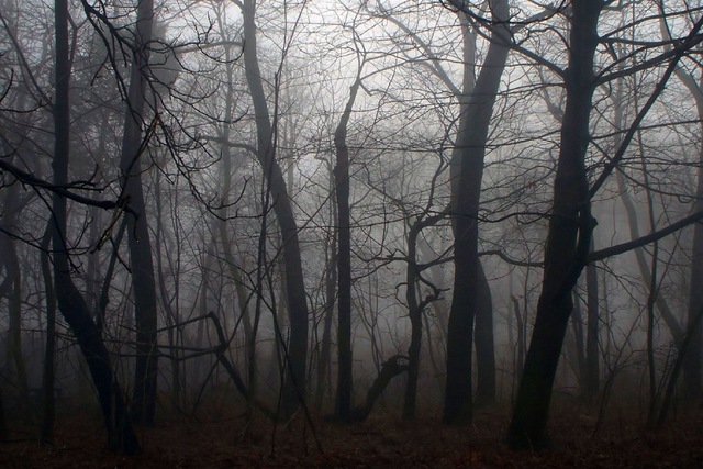 640x427 Fantasy Art Dark Original Works Of Art Psychedelic Horror Dark - Dark Forest Painting