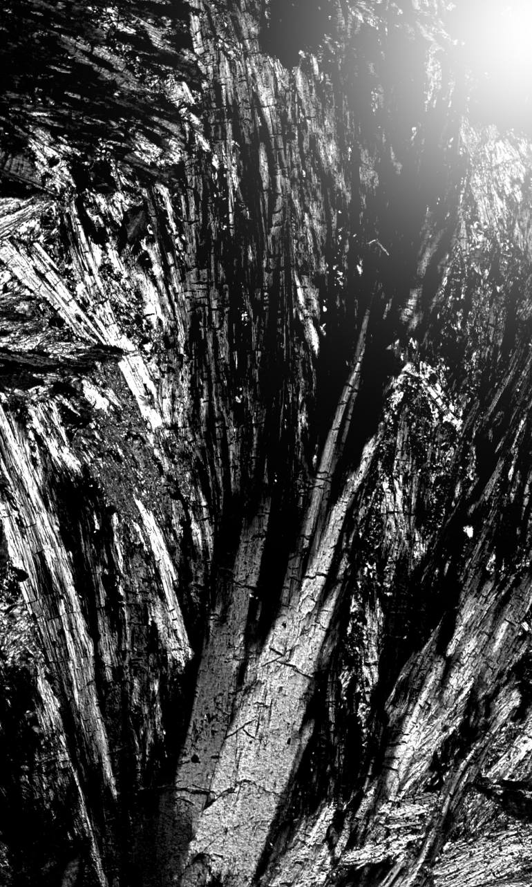 770x1283 Saatchi Art Light Vs Dark Painting By Suraj Lazar - Dark Painting