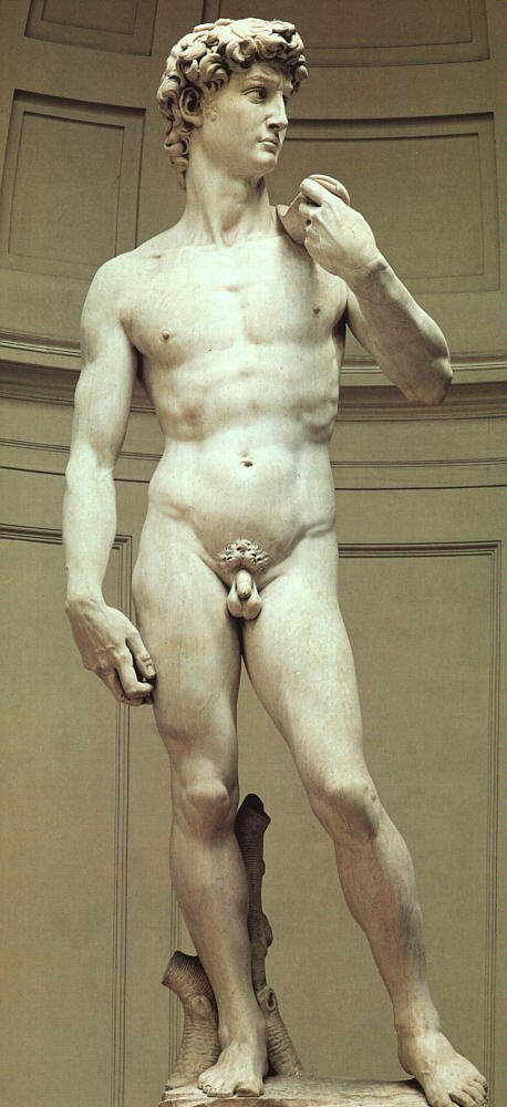 458x1000 Biblical Art By Michelangelo Buonarroti - David And Goliath Michelangelo Painting