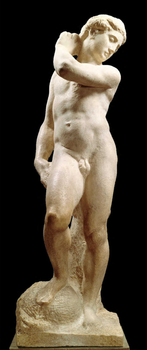 607x1440 Examining Michelangelo's Unfinished David Apollo Daydream Tourist - David And Goliath Painting Michelangelo