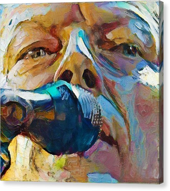 546x612 David Gilmour Canvas Prints Fine Art America - David Gilmour Painting