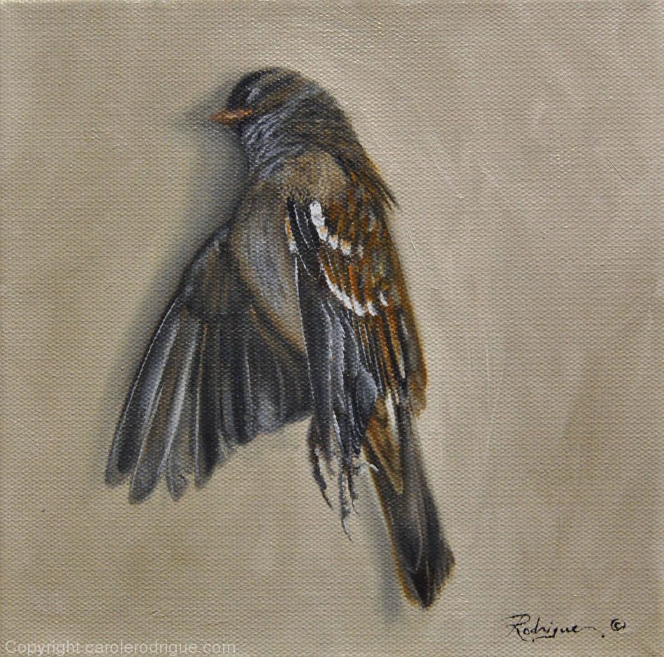 950x939 Dead Bird Painting In Oil - Dead Bird Painting
