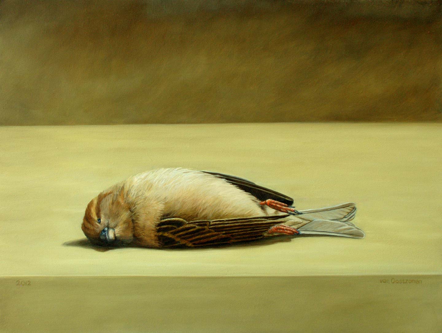 1440x1087 Dead Sparrow - Dead Bird Painting