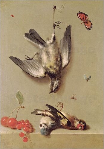 348x500 Jean Baptiste Oudry - Dead Bird Painting