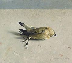 236x207 68 Best Martwa Natura Ptaki Still Life Images - Dead Bird Painting
