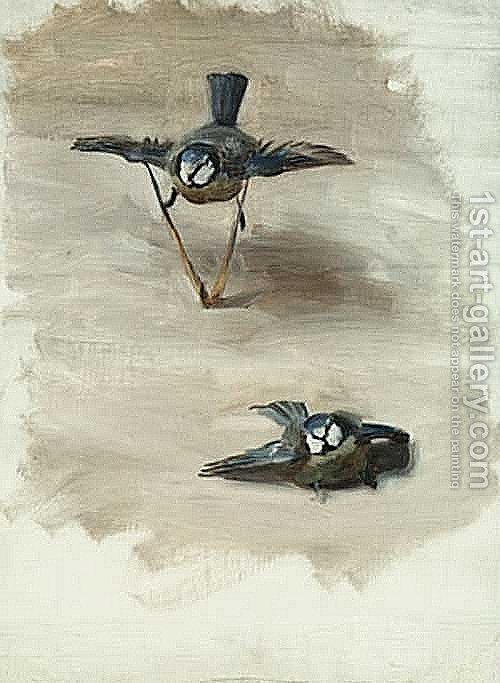 500x683 Study Of A Dead Bird Sargent Reproduction 1st Art Gallery - Dead Bird Painting