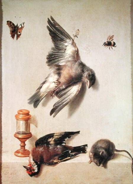 450x622 Symbols In Still Life Painting Mice, Bird And Vanitas - Dead Bird Painting