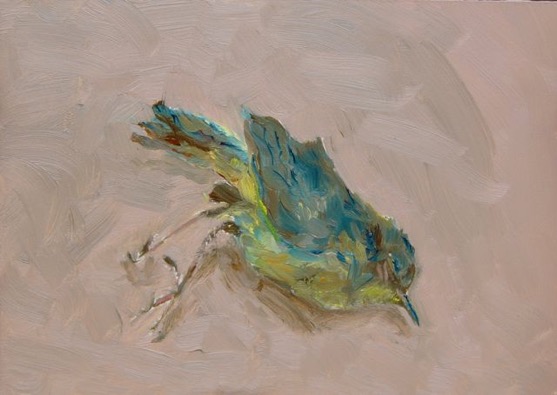 557x395 Dead Bird - Dead Bird Painting
