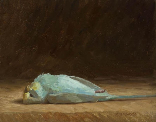 624x489 Dead Bird Painting Intimate Still Life Portraits Of Dead Birds - Dead Bird Painting