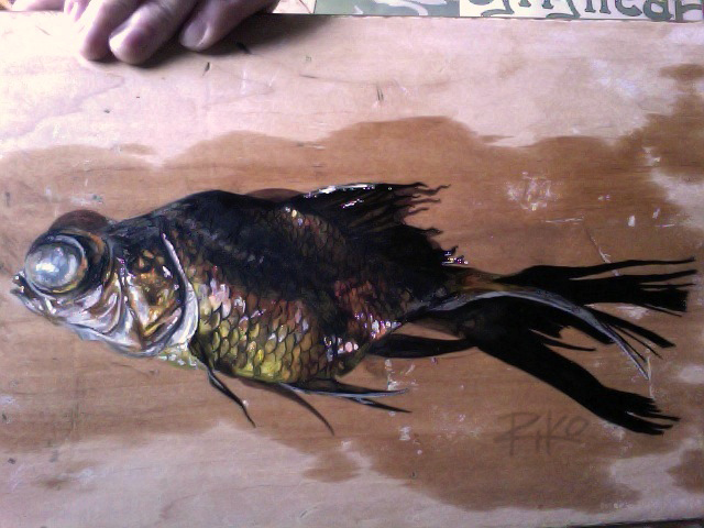 640x480 Paintings - Dead Fish Painting