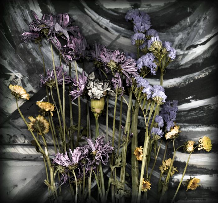 700x651 Dead Flowers Amp Painting Photography Photography - Dead Flower Painting