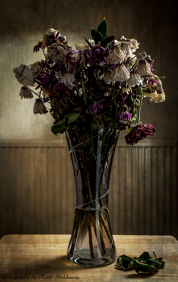570x900 Keith L Holdaway - Dead Flower Painting