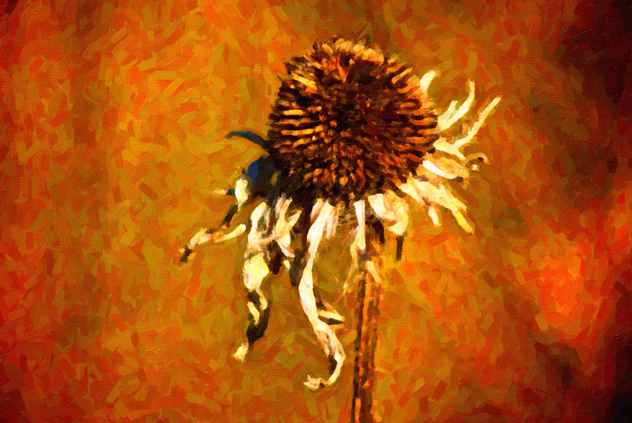 Dead Flower Painting at Explore collection of Dead