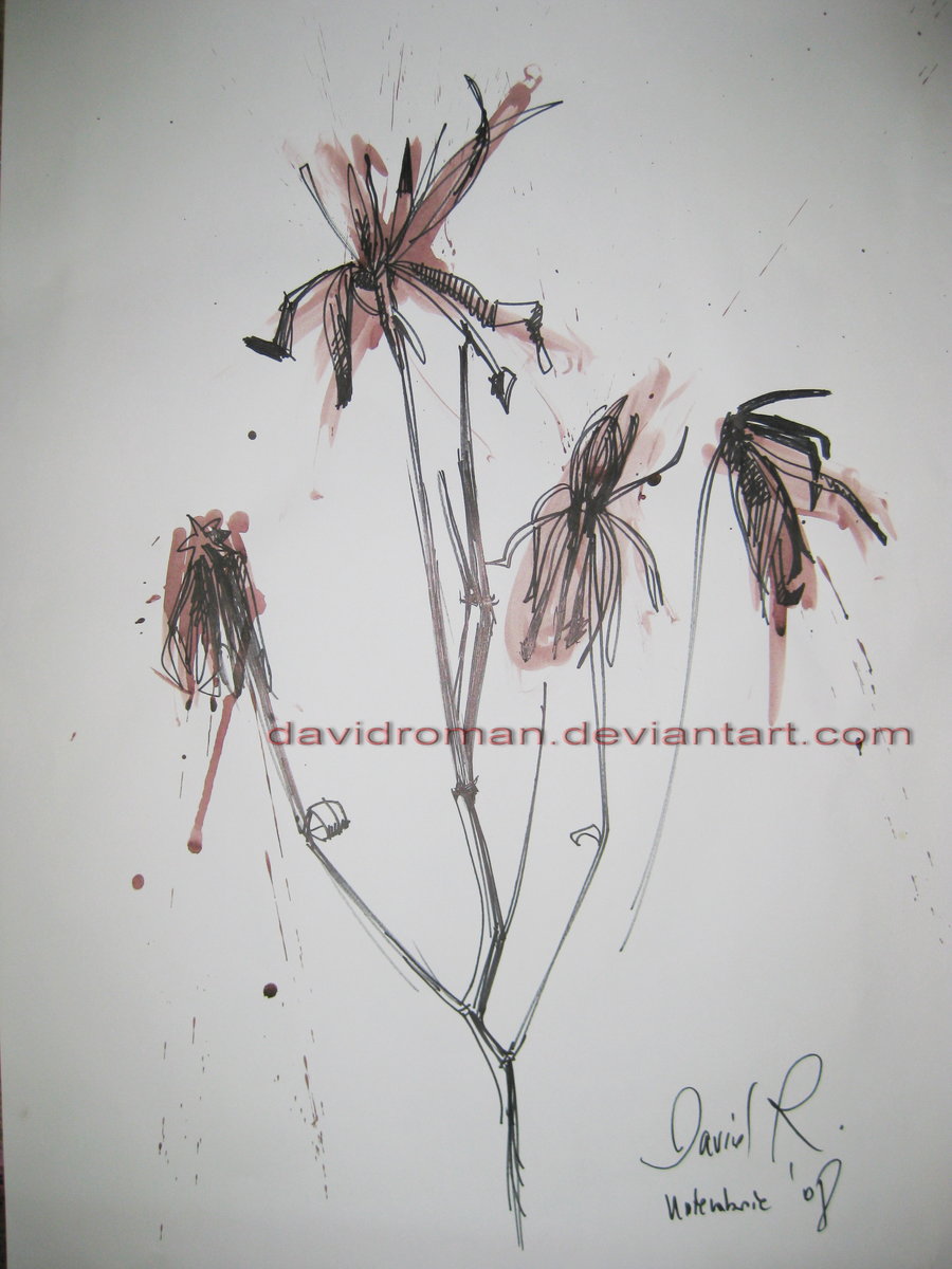 900x1200 Dead Flowers 2 By Davidroman - Dead Flower Painting