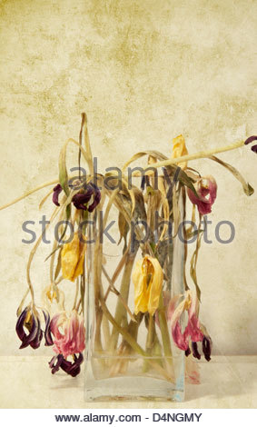 283x470 Dead Flowers Stock Photo 152630477 - Dead Flowers Painting