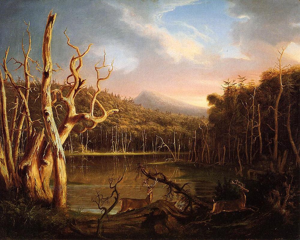 1000x803 Thomas Cole Lake With Dead Trees (Catskill) Painting Best - Dead Tree Painting