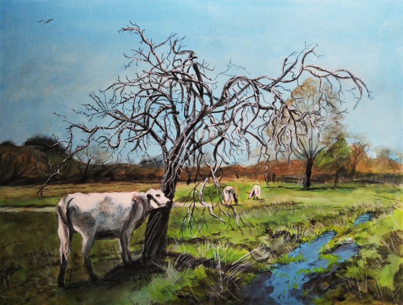 800x605 Water Meadow With Cattle And Dead Tree - Dead Tree Painting