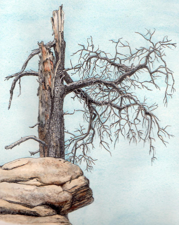 715x900 Dead Tree Painting By Inger Hutton - Dead Tree Painting
