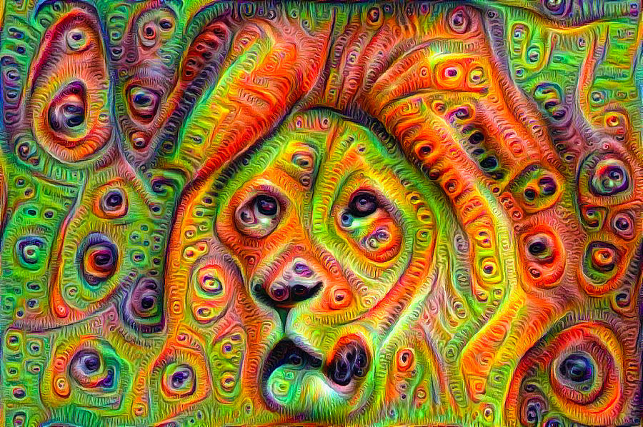 900x598 Colorful Crazy Lion Deep Dream Digital Art By Matthias Hauser - Deep Dream Painting