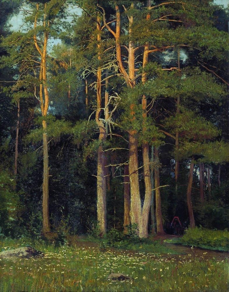 785x1000 Pine Forest In Ligovo 1895 Landscapes Pine Forest - Deep Forest Painting
