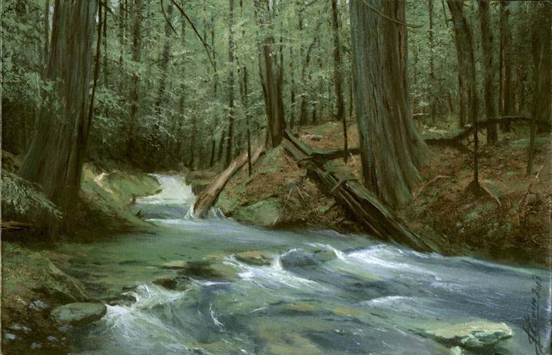 800x514 Deep In The Forest - Deep Forest Painting