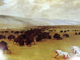 320x240 Buffalo Painting Art Project Deep Space Sparkle - Deep Space Painting